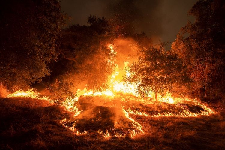 Πυροβεστική: 60 δασικές πυρκαγιές μέσα σε ένα 24ωρο