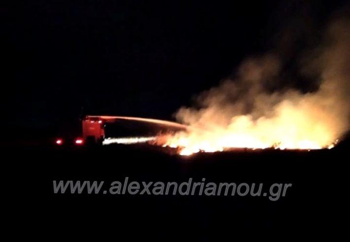 Πυρκαγιά στο παλιό γήπεδο Λουτρού.(φωτο-βιντεο)