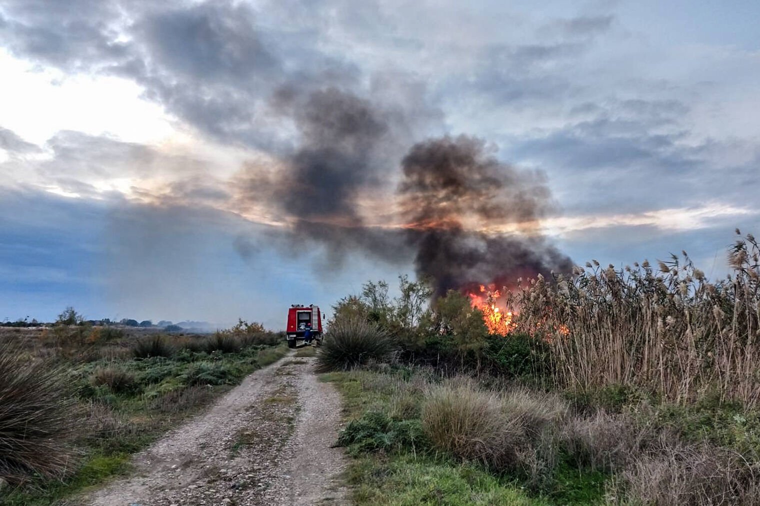 Σπιάντζα: Νέα πυρκαγιά και κινητοποίηση για την Πυροσβεστική