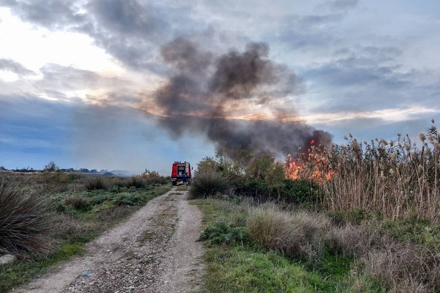Σπιάντζα: Νέα πυρκαγιά και κινητοποίηση για την Πυροσβεστική