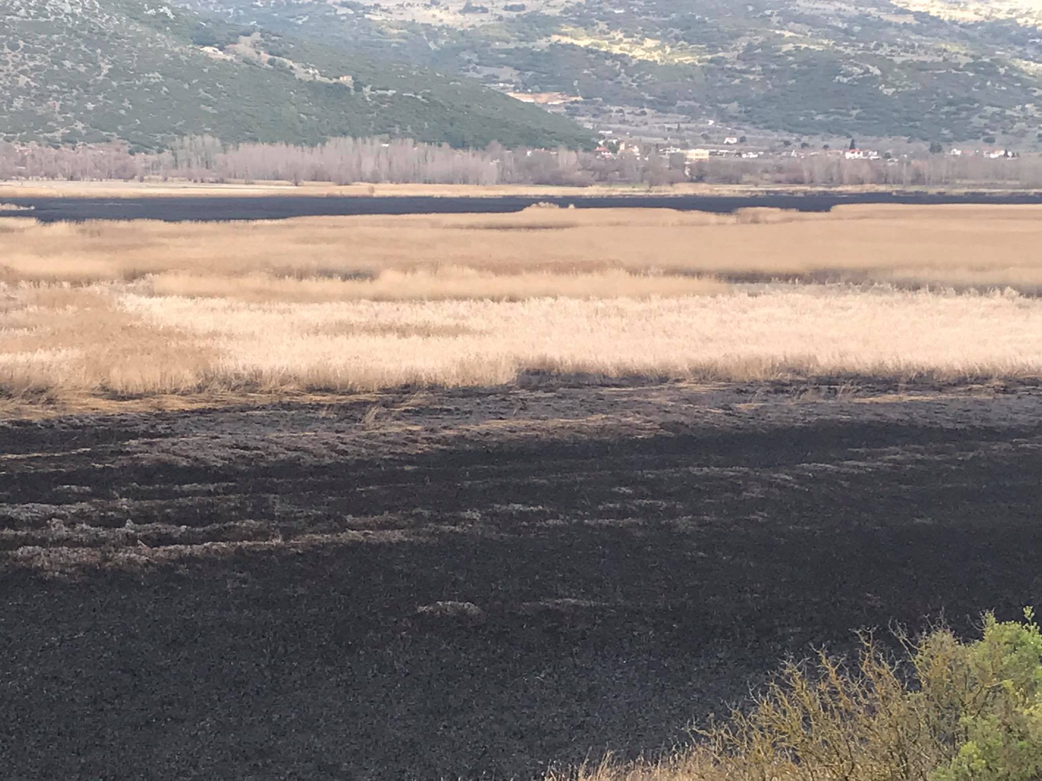 Κάηκαν πάνω από 1000 στρέμματα στη λίμνη Στυμφαλίας (video-φώτο)