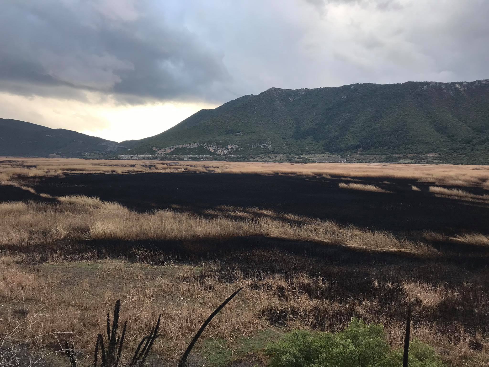 Κάηκαν πάνω από 1000 στρέμματα στη λίμνη Στυμφαλίας (video-φώτο)