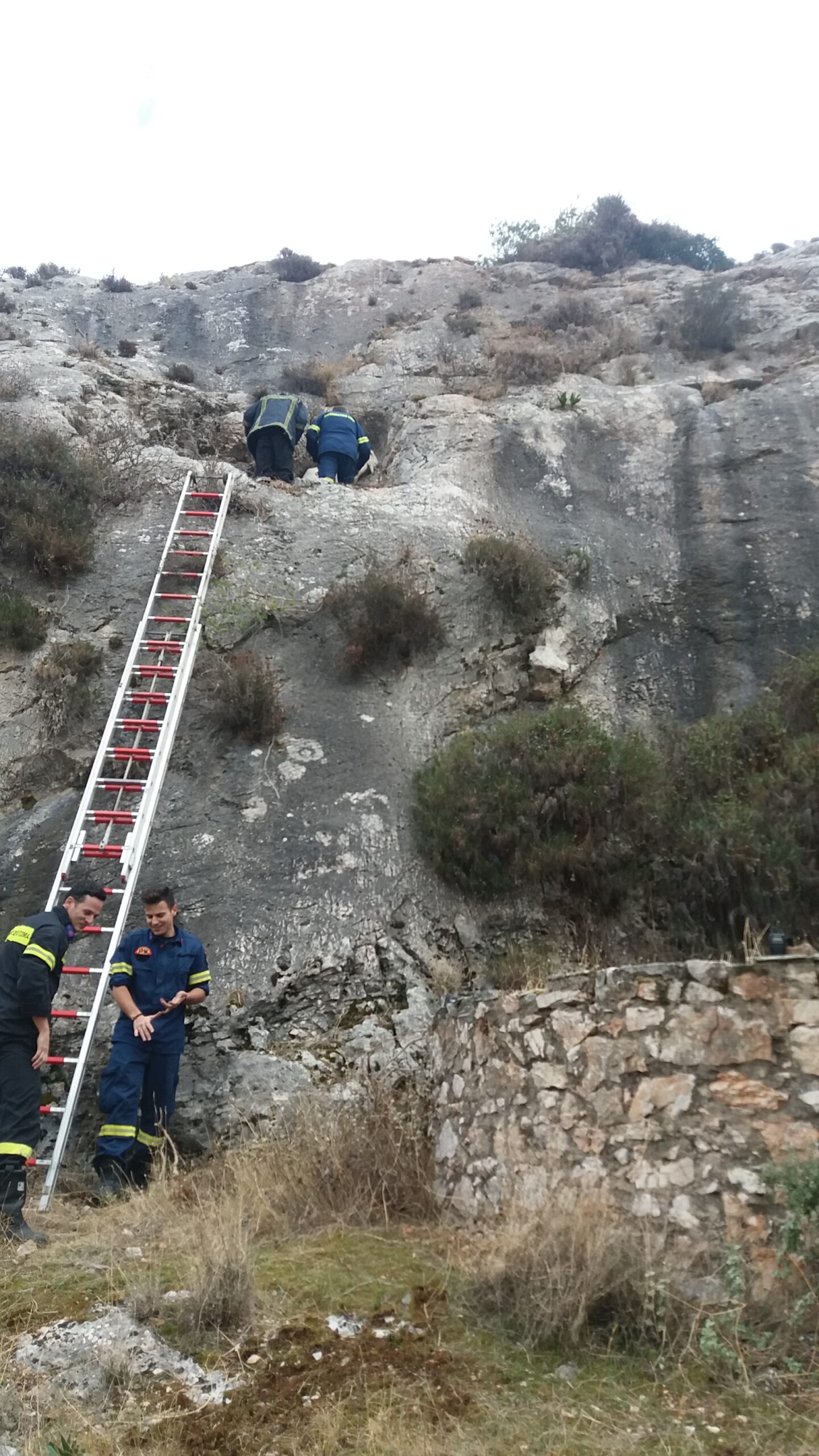 Διάσωση… δύο εριφίων από γκρεμό 15 μέτρων στην Βάρη Αττικής