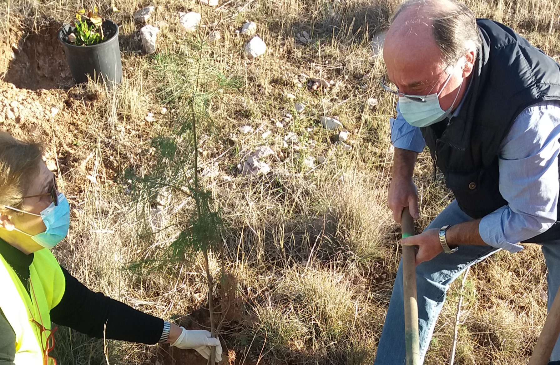 Δενδροφύτευση στο Χερωμα Βάρης