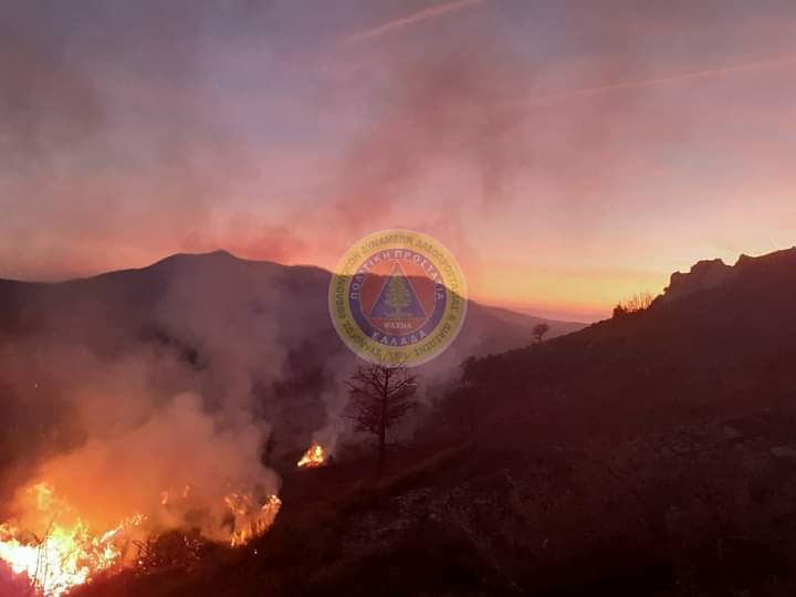 Πυρκαγιά σε δασική έκταση στην Εύβοια (Φώτο)
