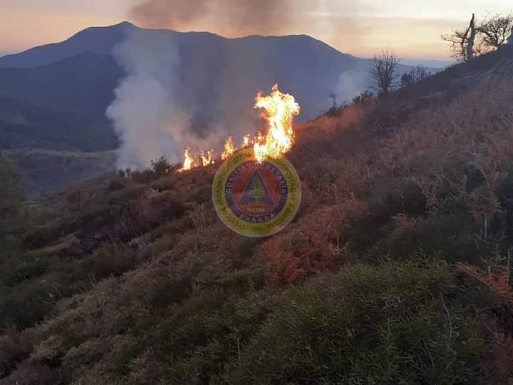 Πυρκαγιά σε δασική έκταση στην Εύβοια (Φώτο)