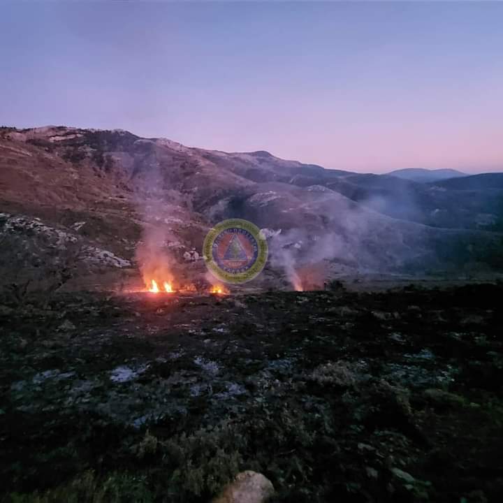 Πυρκαγιά σε δασική έκταση στην Εύβοια (Φώτο)