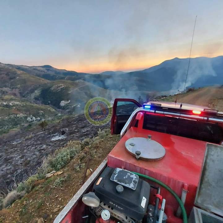 Πυρκαγιά σε δασική έκταση στην Εύβοια (Φώτο)