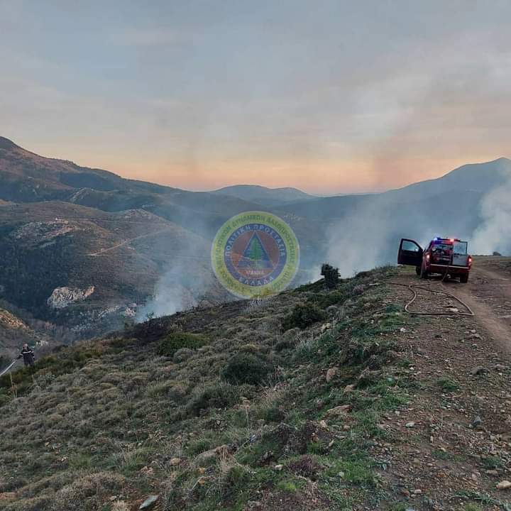 Πυρκαγιά σε δασική έκταση στην Εύβοια (Φώτο)