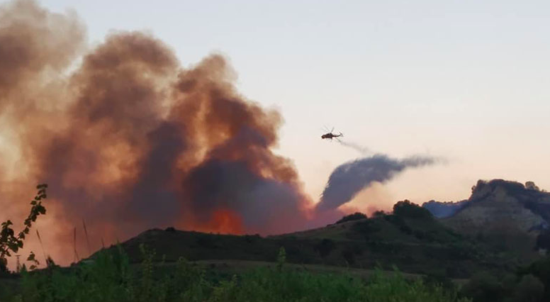 Ρεκόρ εννιαετίας στις πυρκαγιές της Ηλείας