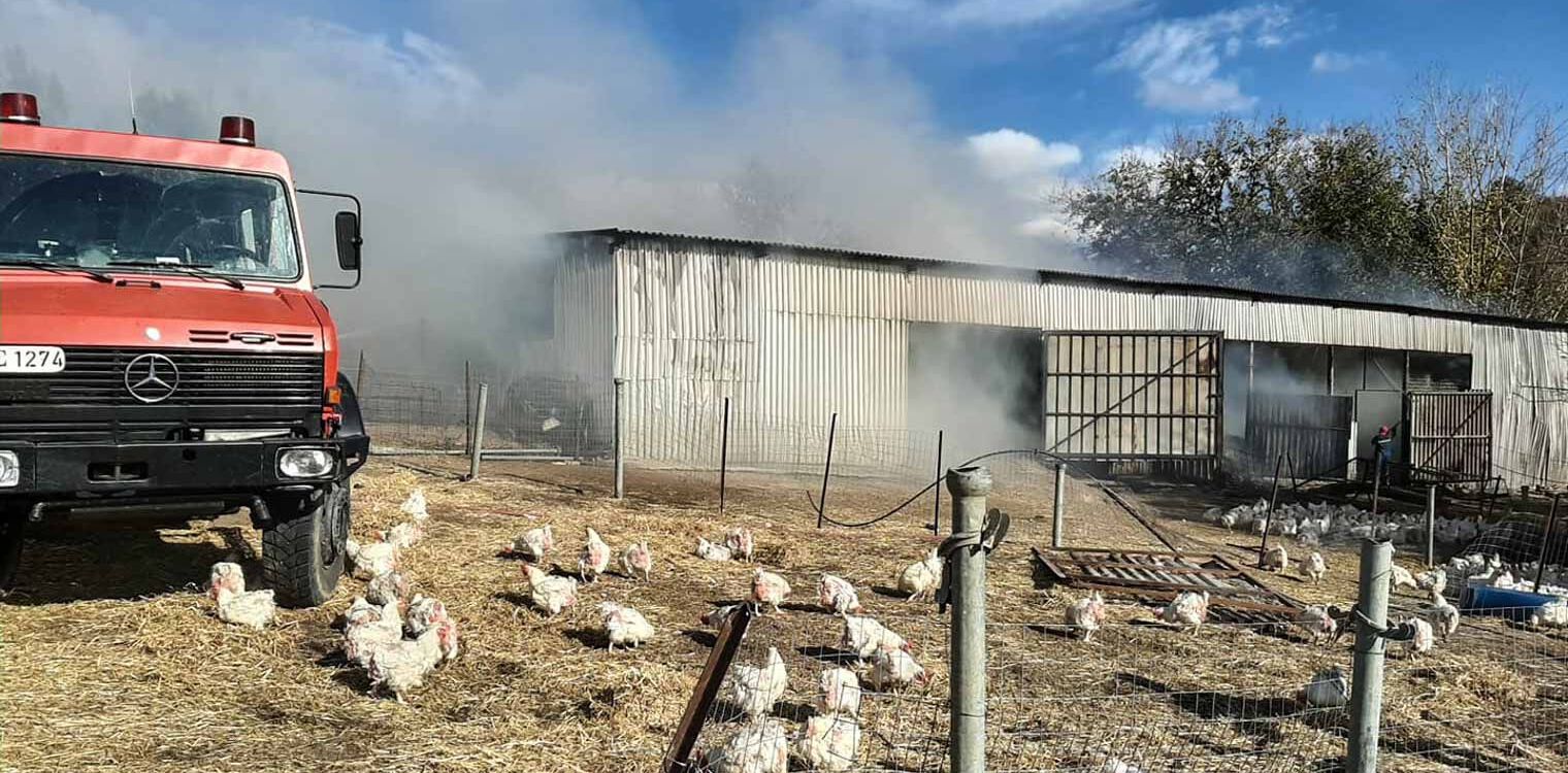 Μαζαράκι: Πυρκαγιά σε στάβλο - Κινητοποίηση για την Πυροσβεστική Υπηρεσία