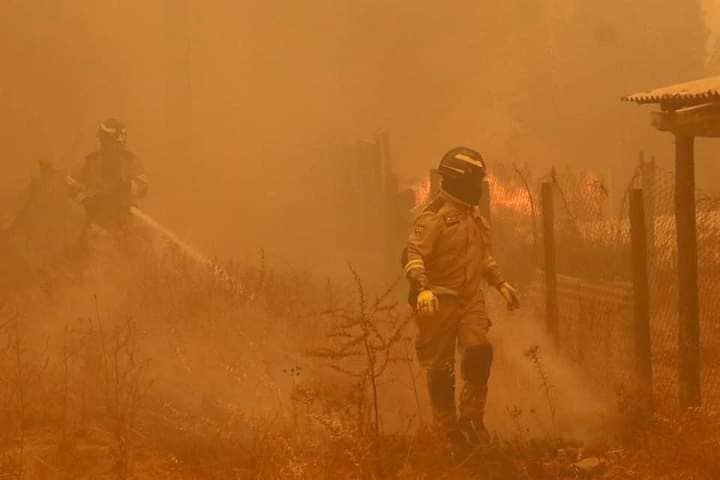 Μεγάλη πυρκαγιά καίει δασική έκταση στη Χιλή (Φώτο)