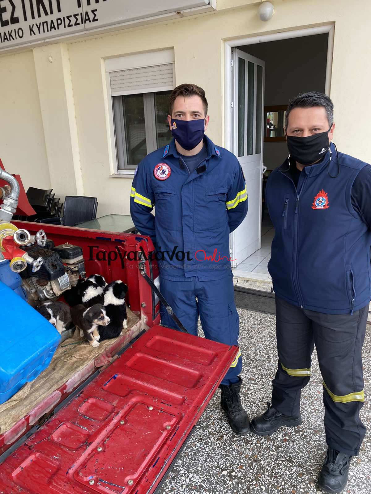 Μεσσηνία: Πυροσβέστες από την Κυπαρισσία «έσωσαν» 8 κουτάβια που τα είχαν πετάξει σε τσουβάλι!