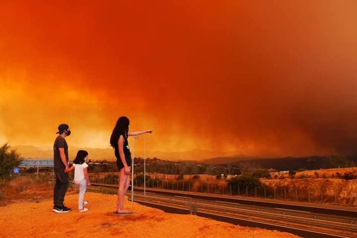 Μεγάλη πυρκαγιά καίει δασική έκταση στη Χιλή (Φώτο)
