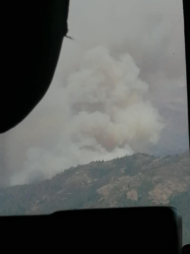 Πυρκαγιά σε δάσος Natura στην Χιλή (Φώτο)