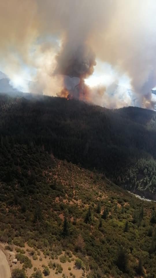 Πυρκαγιά σε δάσος Natura στην Χιλή (Φώτο)