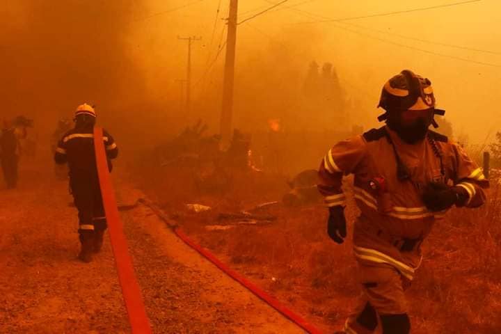 Μεγάλη πυρκαγιά καίει δασική έκταση στη Χιλή (Φώτο)