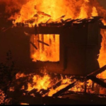 Πυρκαγιά σε στάβλο στο χωριό Βρυώνι της Βορείου Ηπείρου - Κάηκαν ζωντανά πάνω από 200 πρόβατα