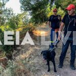 ΗΛΕΙΑ-Σε εξέλιξη έρευνες για τον εντοπισμό 78χρονου