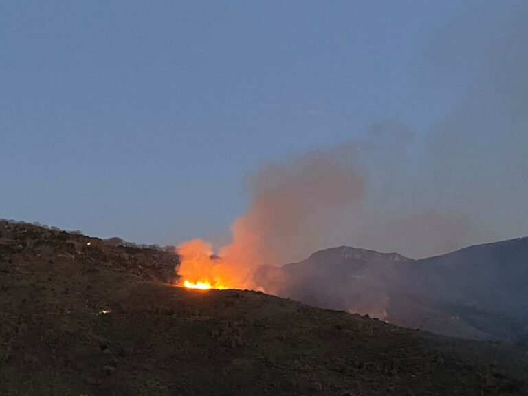 Μεγάλη δασική πυρκαγιά στο Άνυδρο Τριφυλίας (φώτο)