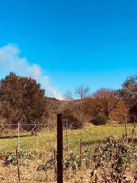 Πυρκαγιά ΤΩΡΑ στον οικισμό Ράχη Γυθειου (Φώτο)