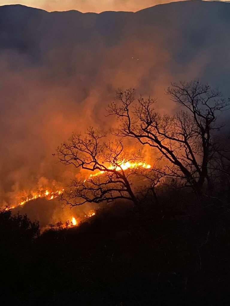 Μεγάλη δασική πυρκαγιά στο Άνυδρο Τριφυλίας (φώτο)