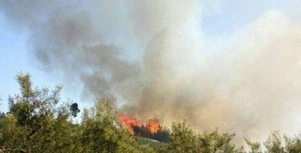 Πυρκαγιά ξέσπασε στον ΧΥΤΑ Παλαιοκάστρου