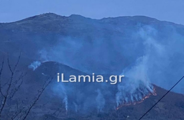 Περιβόλι Σπερχειάδας: Πυρκαγιά σε δασική έκταση (Φωτογραφίες)