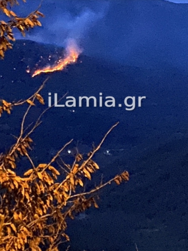 Περιβόλι Σπερχειάδας: Πυρκαγιά σε δασική έκταση (Φωτογραφίες)