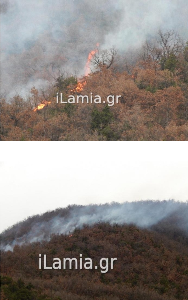 Κατάσβεσθη η δασική πυρκαγιά στο Περιβόλι Σπερχειάδας (Φωτο)
