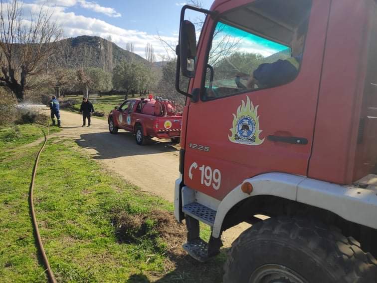 Πυρκαγιά στη Συκιά Χαλκιδικής