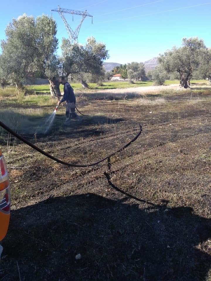 Πυρκαγιά εν υπαίθρω στην Εύβοια.