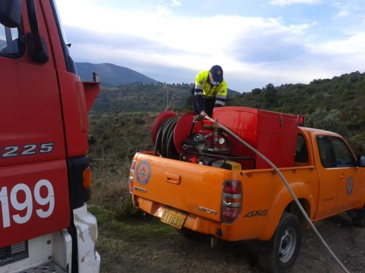 Πυρκαγιά σε δασική έκταση στην Εύβοια