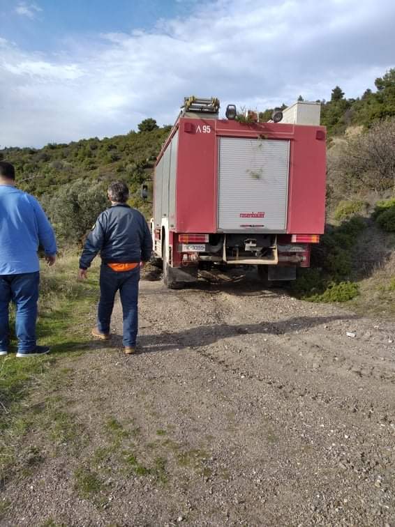 Πυρκαγιά σε δασική έκταση στην Εύβοια