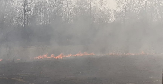 Πυρκαγιά σε έκταση δίπλα στον δρόμο Κατερίνης – Νέας Εφέσου