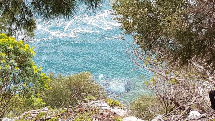 Κεφαλονια-Τραγωδία στον Αγιο Κωνσταντίνο - Αυτοκίνητο έπεσε στην θάλασσα - Νεκρός ο νεαρός οδηγός