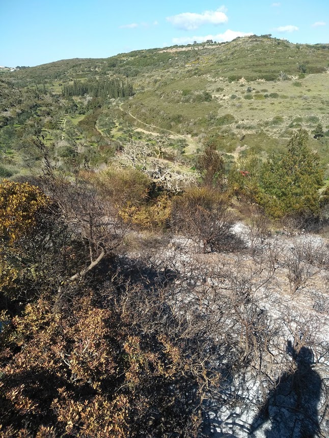 Πυρκαγιά στα Φατσάδικα Κυθήρων (Φώτο)