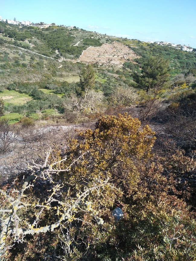 Πυρκαγιά στα Φατσάδικα Κυθήρων (Φώτο)