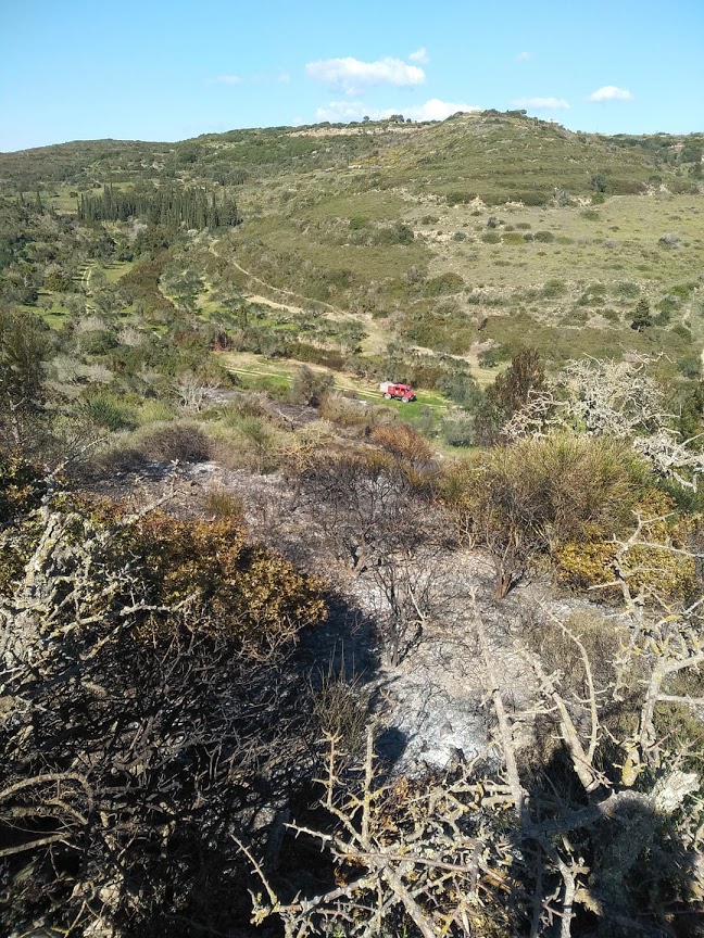 Πυρκαγιά στα Φατσάδικα Κυθήρων (Φώτο)