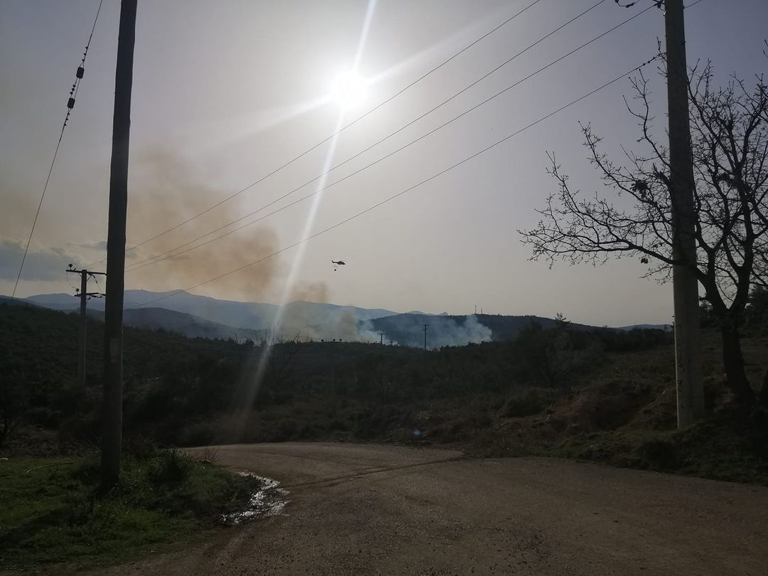 Φωτορεπορτάζ απο την πυρκαγιά στον Κάλαμο