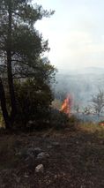 Συναγερμός στην Πυροσβεστική για πυρκαγιά σε δασικη έκταση στο Χιλιομόδι Κορινθίας
