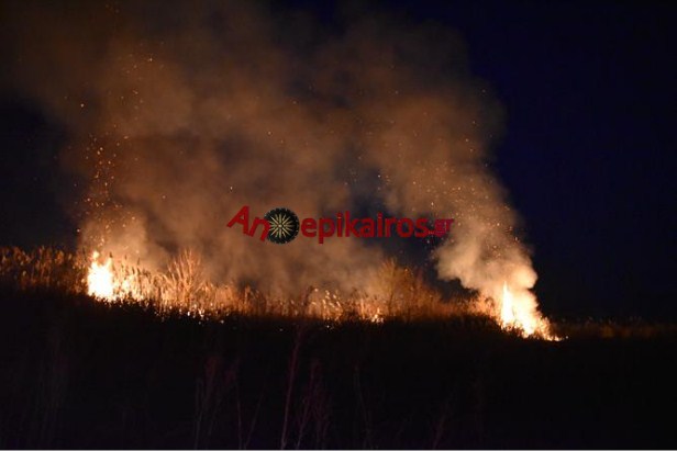 Αλεξάνδρεια Ημαθίας - Πυρκαγιά λίγο έξω από το Νεοχωρόπουλο (Φώτο - Βίντεο)