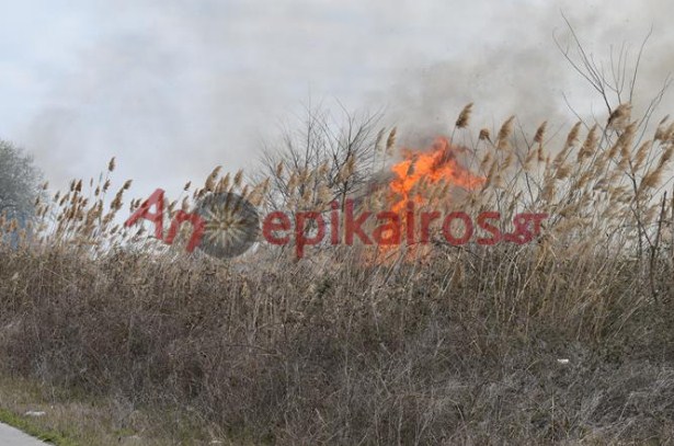 Αν δεν έχεις τι να κάνεις Κυριακή πρωί, βάζεις φωτιές για να τρέχει η πυροσβεστική. (3) διαφορετικές εστίες στην Αλεξάνδρεια.