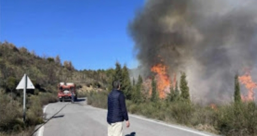 Με φλόγες και ανέμους μάχονται οι πυροσβέστες σε Μεγαλόπολη, Αίγιο και Καρπενήσι.