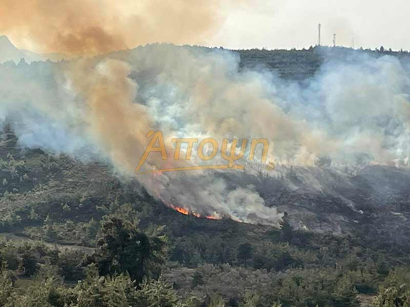 Φωτορεπορτάζ απο την πυρκαγιά στον Κάλαμο