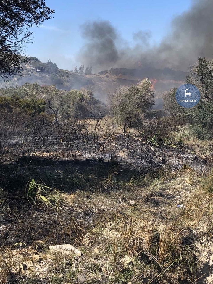 Ροδος-Πυρκαγιά σε χορτολιβαδική έκταση στο Φαληράκι (βίντεο)