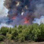 Εκδηλώθηκαν 130 δασικές πυρκαγιές το τελευταίο 48ωρο.