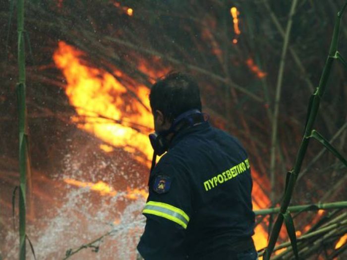 Πυρκαγιά σε καλαμιές στην Κέρκυρα