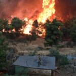 Πυρκαγιά ΤΩΡΑ σε αγροτοδασική έκταση στην Αχαΐα
