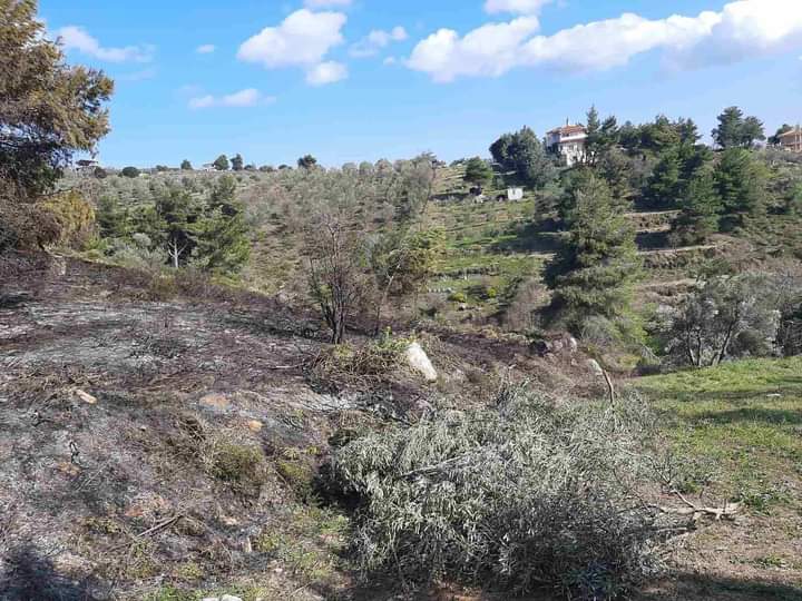 Από ελεγχόμενη καύση σε πυρκαγιά χορτολιβαδικη που παραλίγο να εξελιχθεί σε δασική